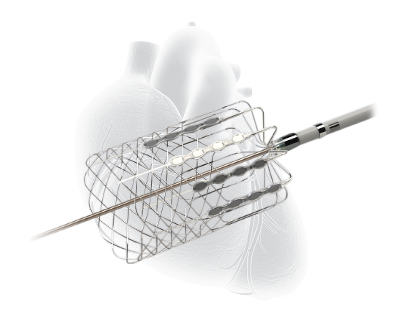Cardionomic Product with heart