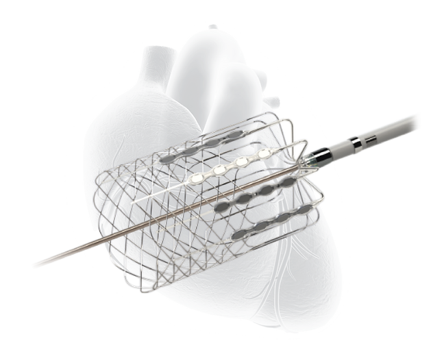 002_Product_heart-overlay_final